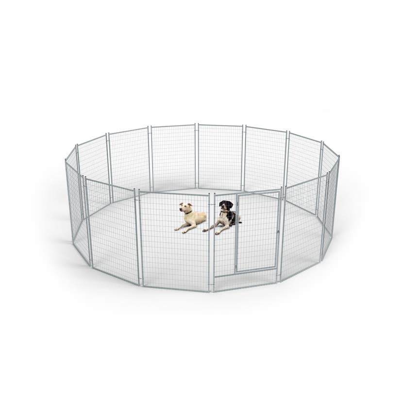 Hundarnas Flexygård 22 kvm